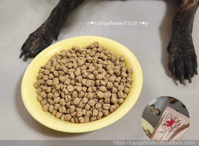 卡娜芙評價、卡娜芙狗飼料評價、加拿大飼料品牌推薦、加拿大寵物糧推薦、加拿大狗飼料推薦、發芽種子飼料、高適口性無穀狗飼料推薦、寵物無穀飼料推薦、無穀低敏飼料開箱、狗腸胃保健飼料分享、Carna4卡娜芙、加拿大寵物糧推薦、狗狗腸胃保健乾糧、卡娜芙品牌形象大使-成晞chance、新生代男神成晞、狗飼料推薦、發芽種子、加拿大Carna4卡娜芙‧狗狗-腸胃保健-易嚼鹿肉、加拿大天然飼料、無合成添加物、發芽種子的好處