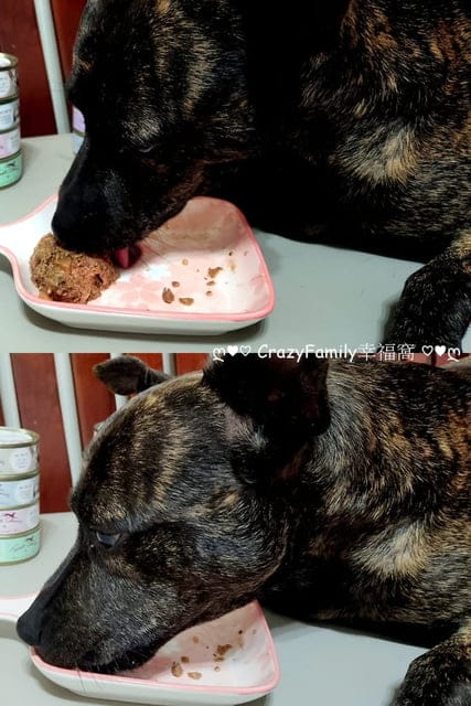 狗鮮食罐開箱【Terra Canis 醍菈鮮廚】高適口性無穀犬罐