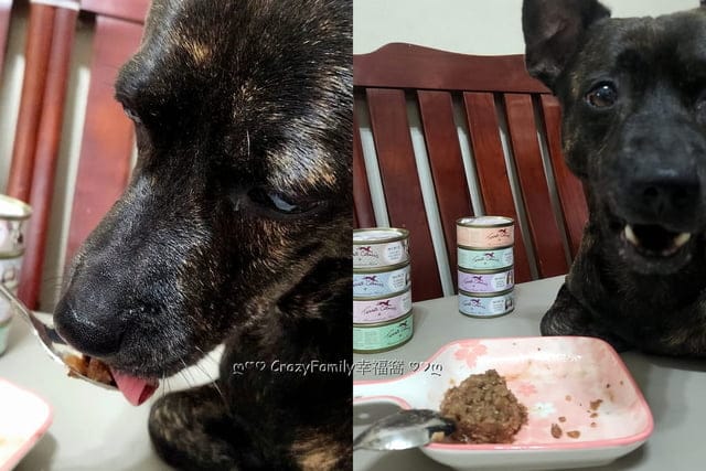 狗鮮食罐開箱【Terra Canis 醍菈鮮廚】高適口性無穀犬罐