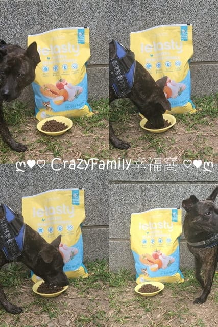 寵物飼料推薦、推薦寵物飼料、狗飼料、無穀飼料、鮮樂嚐評價、鮮樂嚐飼料接受度、挑食狗飼料品牌、腸胃不好飼料開箱、狗飼料開箱、開箱狗飼料、日常保健狗糧推薦、開箱狗糧、狗糧開箱、添加益生菌狗糧分享、適口性好狗飼料開箱、挑嘴狗評價飼料分享、開箱平價犬用飼料、開箱平價狗飼料、開箱犬用飼料、敏感狗狗飼料怎麼買、平價好入手飼料、專為狗貓腸胃設計、高CP值飼料、高CP值狗飼料、高CP值犬用飼料、寵糧、開箱寵糧、寵糧開箱