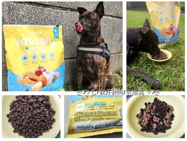 寵物飼料推薦、推薦寵物飼料、狗飼料、無穀飼料、鮮樂嚐評價、鮮樂嚐飼料接受度、挑食狗飼料品牌、腸胃不好飼料開箱、狗飼料開箱、開箱狗飼料、日常保健狗糧推薦、開箱狗糧、狗糧開箱、添加益生菌狗糧分享、適口性好狗飼料開箱、挑嘴狗評價飼料分享、開箱平價犬用飼料、開箱平價狗飼料、開箱犬用飼料、敏感狗狗飼料怎麼買、平價好入手飼料、專為狗貓腸胃設計、高CP值飼料、高CP值狗飼料、高CP值犬用飼料、寵糧、開箱寵糧、寵糧開箱