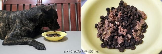 寵物飼料推薦、推薦寵物飼料、狗飼料、無穀飼料、鮮樂嚐評價、鮮樂嚐飼料接受度、挑食狗飼料品牌、腸胃不好飼料開箱、狗飼料開箱、開箱狗飼料、日常保健狗糧推薦、開箱狗糧、狗糧開箱、添加益生菌狗糧分享、適口性好狗飼料開箱、挑嘴狗評價飼料分享、開箱平價犬用飼料、開箱平價狗飼料、開箱犬用飼料、敏感狗狗飼料怎麼買、平價好入手飼料、專為狗貓腸胃設計、高CP值飼料、高CP值狗飼料、高CP值犬用飼料、寵糧、開箱寵糧、寵糧開箱