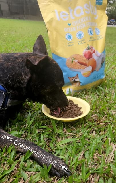 寵物飼料推薦、推薦寵物飼料、狗飼料、無穀飼料、鮮樂嚐評價、鮮樂嚐飼料接受度、挑食狗飼料品牌、腸胃不好飼料開箱、狗飼料開箱、開箱狗飼料、日常保健狗糧推薦、開箱狗糧、狗糧開箱、添加益生菌狗糧分享、適口性好狗飼料開箱、挑嘴狗評價飼料分享、開箱平價犬用飼料、開箱平價狗飼料、開箱犬用飼料、敏感狗狗飼料怎麼買、平價好入手飼料、專為狗貓腸胃設計、高CP值飼料、高CP值狗飼料、高CP值犬用飼料、寵糧、開箱寵糧、寵糧開箱