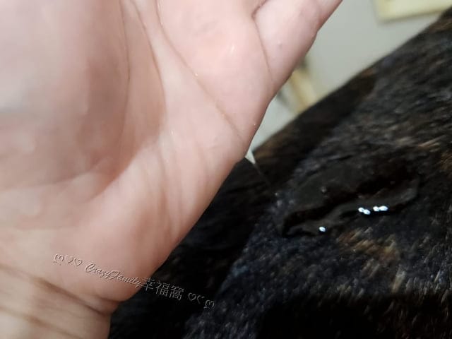 可沛寵藥、絲胺植萃、寵物沐浴乳、可沛寵藥評價、絲胺植萃評價、絲胺植萃好用嗎、修護寵物沐浴乳分享、寵物沐浴乳怎麼選、嗅覺友好寵物沐浴乳、保濕寵物沐浴乳分享、植萃寵物沐浴乳分享、驅蟲寵物沐浴乳分享、溫和寵物沐浴乳分享、好聞的寵物沐浴乳分享、狗夠沐浴乳分享、貓咪沐浴乳分享