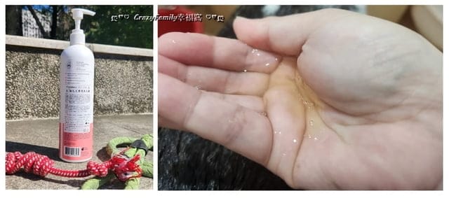 寵物好物 ∞ 加拿大寵物消臭專家Purodora 純朵拉讓舒適清新維護家人及愛寵