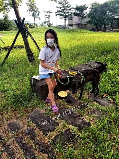 寵物好物 ∞ 加拿大寵物消臭專家Purodora 純朵拉讓舒適清新維護家人及愛寵