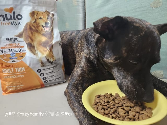 【2024寵物開箱】美國紐樂芙高肉量無穀狗飼料開箱分享