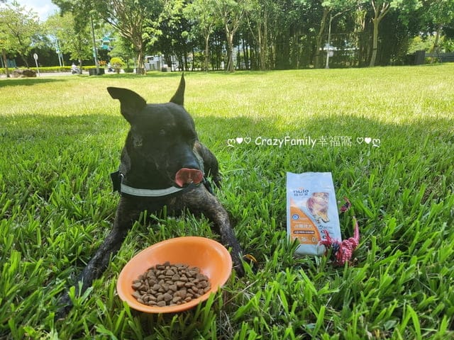 【2024寵物開箱】美國紐樂芙高肉量無穀狗飼料開箱分享