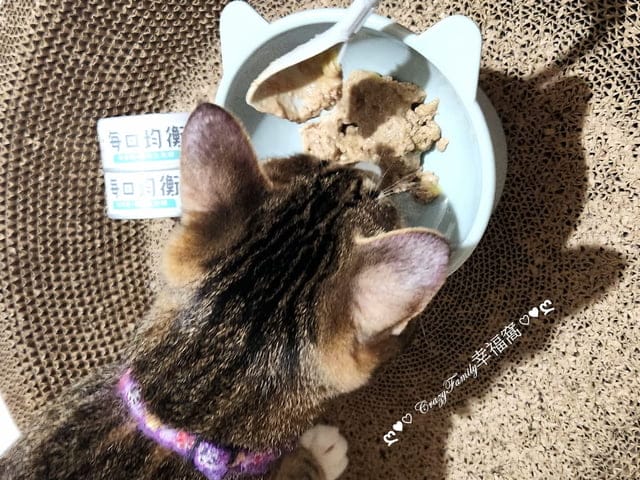 寵物食品分享￠貓侍Catpool X 花花動物醫院 泥狀每日均衡主食罐分享