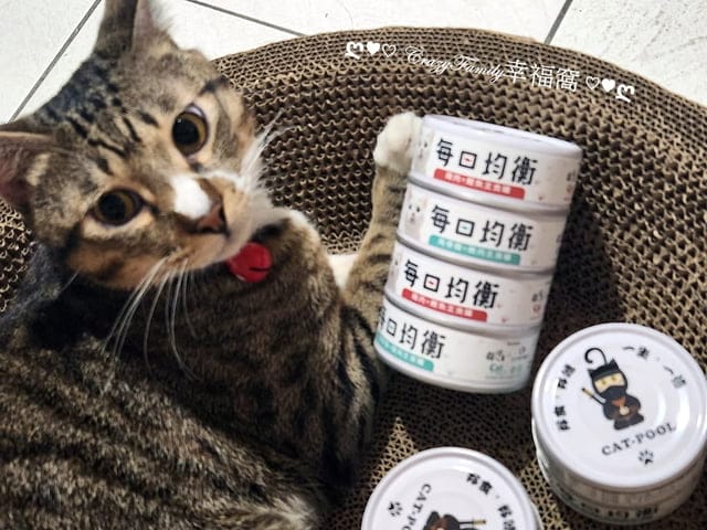 寵物食品分享￠貓侍Catpool X 花花動物醫院 泥狀每日均衡主食罐分享