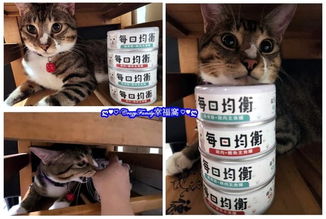 寵物食品分享￠貓侍Catpool X 花花動物醫院 泥狀每日均衡主食罐分享