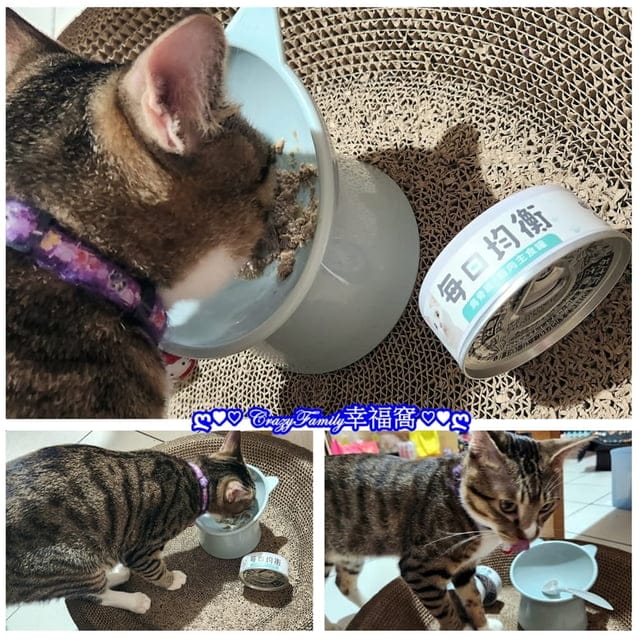 寵物食品分享￠貓侍Catpool X 花花動物醫院 泥狀每日均衡主食罐分享