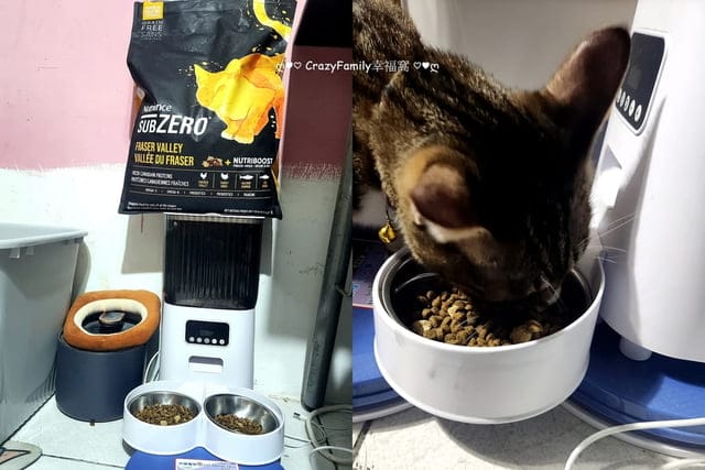 凍乾貓糧開箱 ∞ 營養提升維持最佳健康【八犬寵物】紐崔斯頂級黑鑽無穀貓糧+凍乾