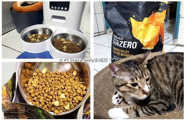 凍乾貓糧開箱 ∞ 營養提升維持最佳健康【八犬寵物】紐崔斯頂級黑鑽無穀貓糧+凍乾