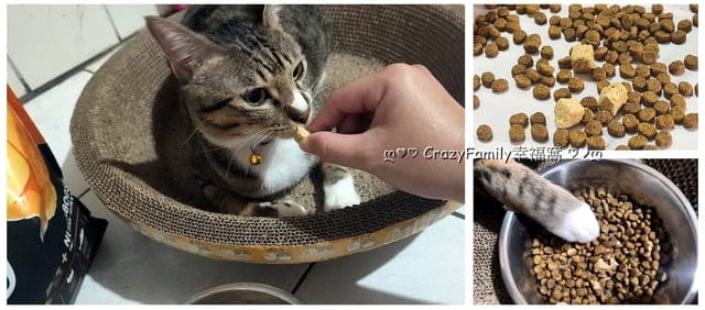 凍乾貓糧開箱 ∞ 營養提升維持最佳健康【八犬寵物】紐崔斯頂級黑鑽無穀貓糧+凍乾