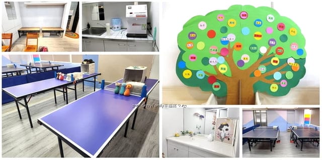『乒乓島兒童桌球教室』幼兒3-7歲學桌球促進身體發育、培養思考能力|台北市大安區桌球館