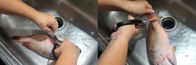 事半功倍的【MINGTOOL銘刀】日本鋼廚房剪刀,讓烹飪更加迅速便利 - 第11張圖 事半功倍的【MINGTOOL銘刀】日本鋼廚房剪刀,讓烹飪更加迅速便利